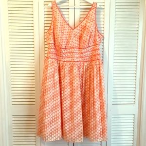 Robbie Bee Orange Polka Dot Fit & Flare Dress